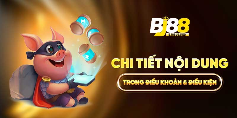 Chi tiết nội dung trong điều khoản & điều kiện